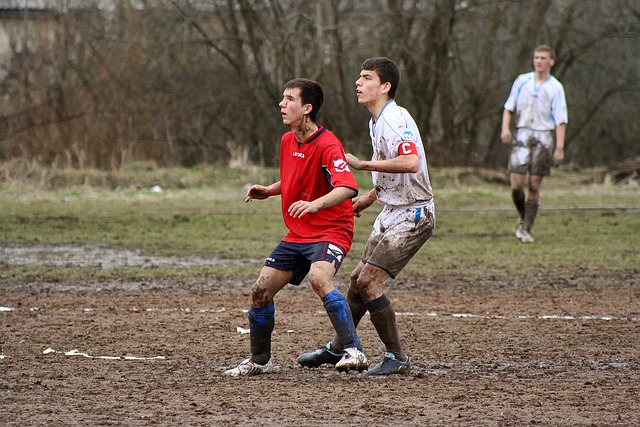 在某些回合 在某些回合