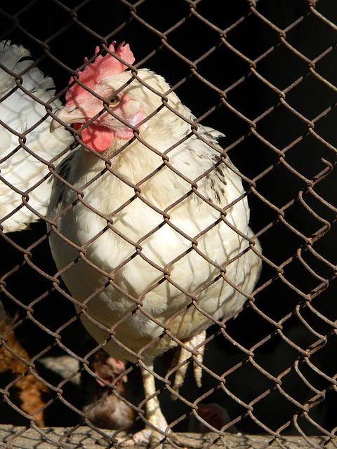 件的完整性 件的完整性