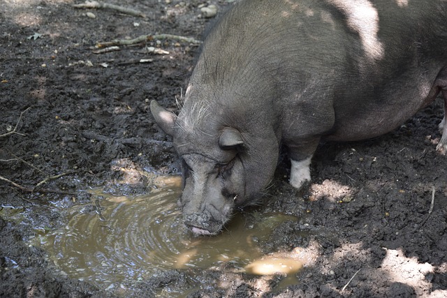 名的学校 名的学校