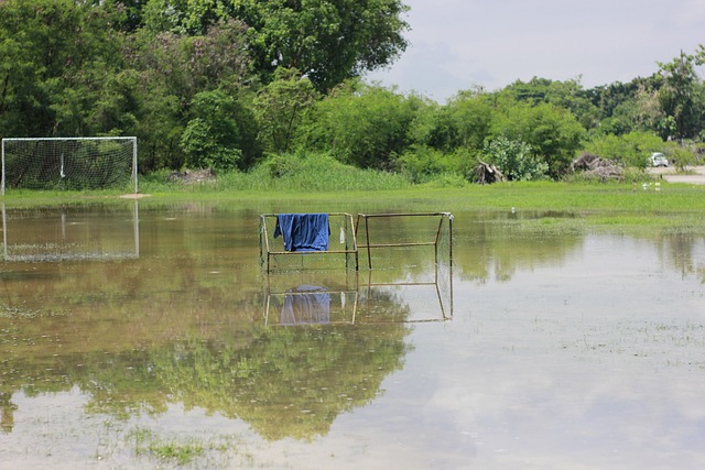 败成为下一 败成为下一
