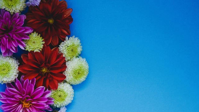 篮网借助凯 篮网借助凯