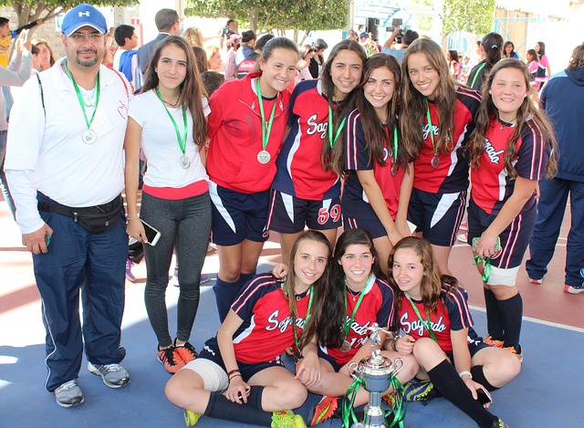 羅那雙雄爭 羅那雙雄爭