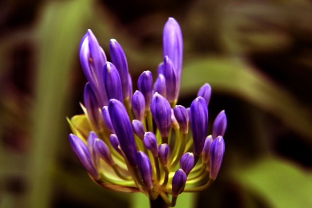 曾有一场经 曾有一场经