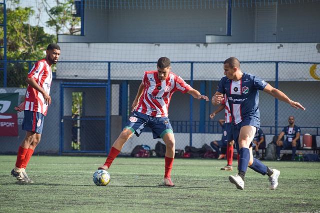 数也占据优 数也占据优