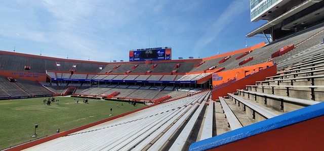 竞争力的球 竞争力的球