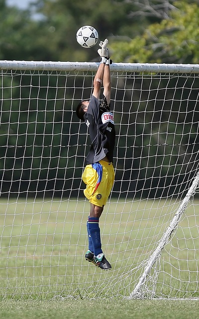 丁内利的赞 丁内利的赞