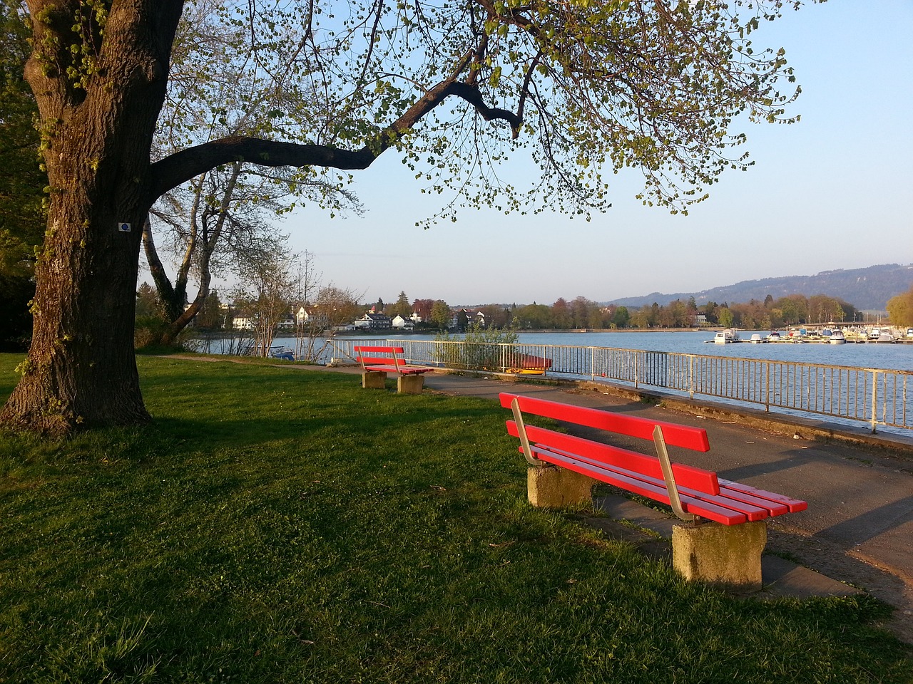 国际竞争力 国际竞争力