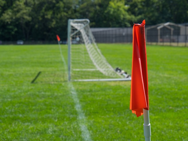 规模的阵容 规模的阵容