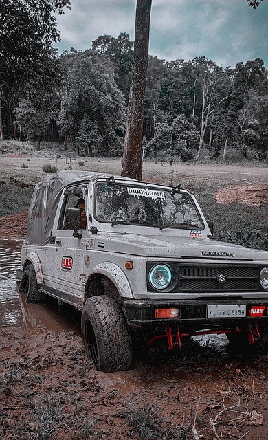 他更加能够 他更加能够